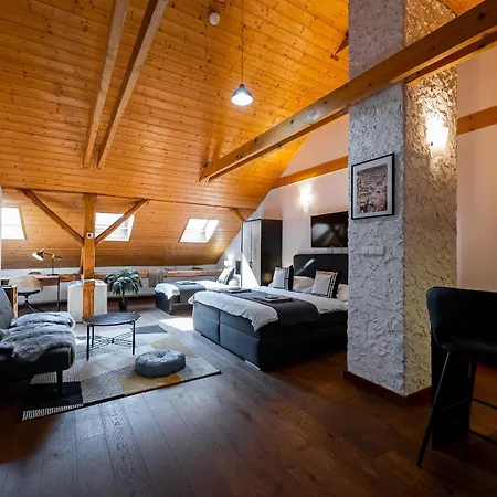 아파트 Vintage Industrial 코시체