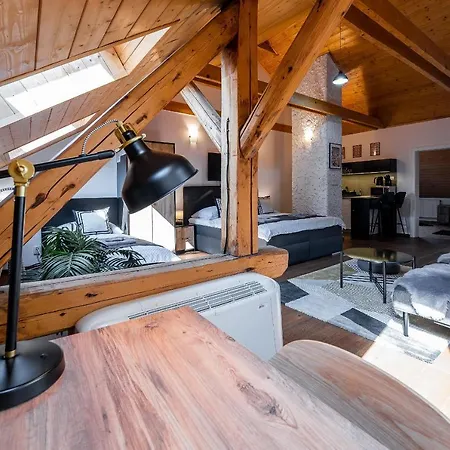 Vintage Industrial Apartment